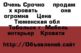 Очень Срочно!!! продам 2х кровать 160*200 - она огромна! › Цена ­ 11 000 - Тюменская обл., Тобольск г. Мебель, интерьер » Кровати   